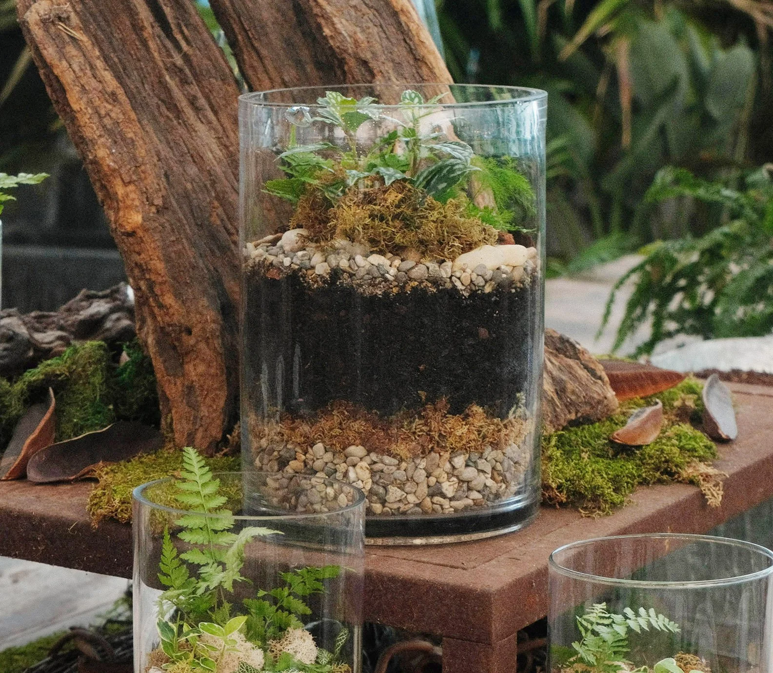terrarium station. edits.cropped.jpg