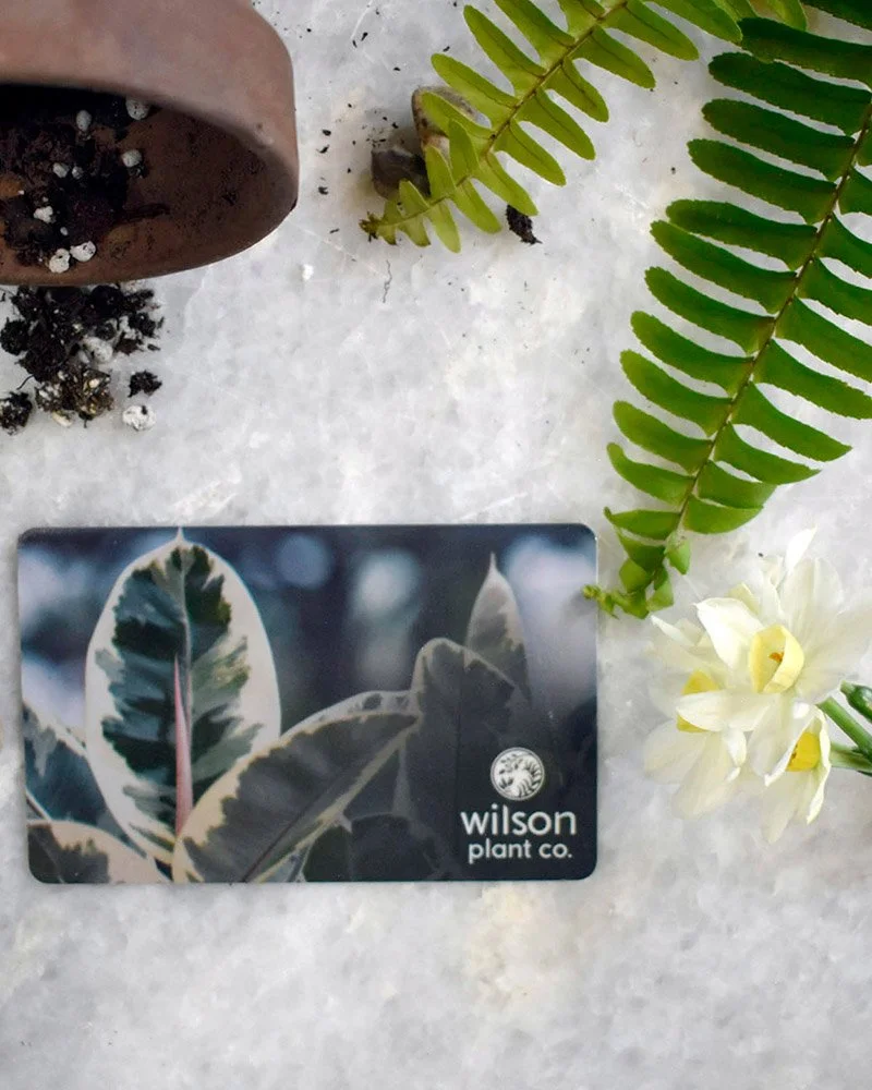 Gift Card (Physical)