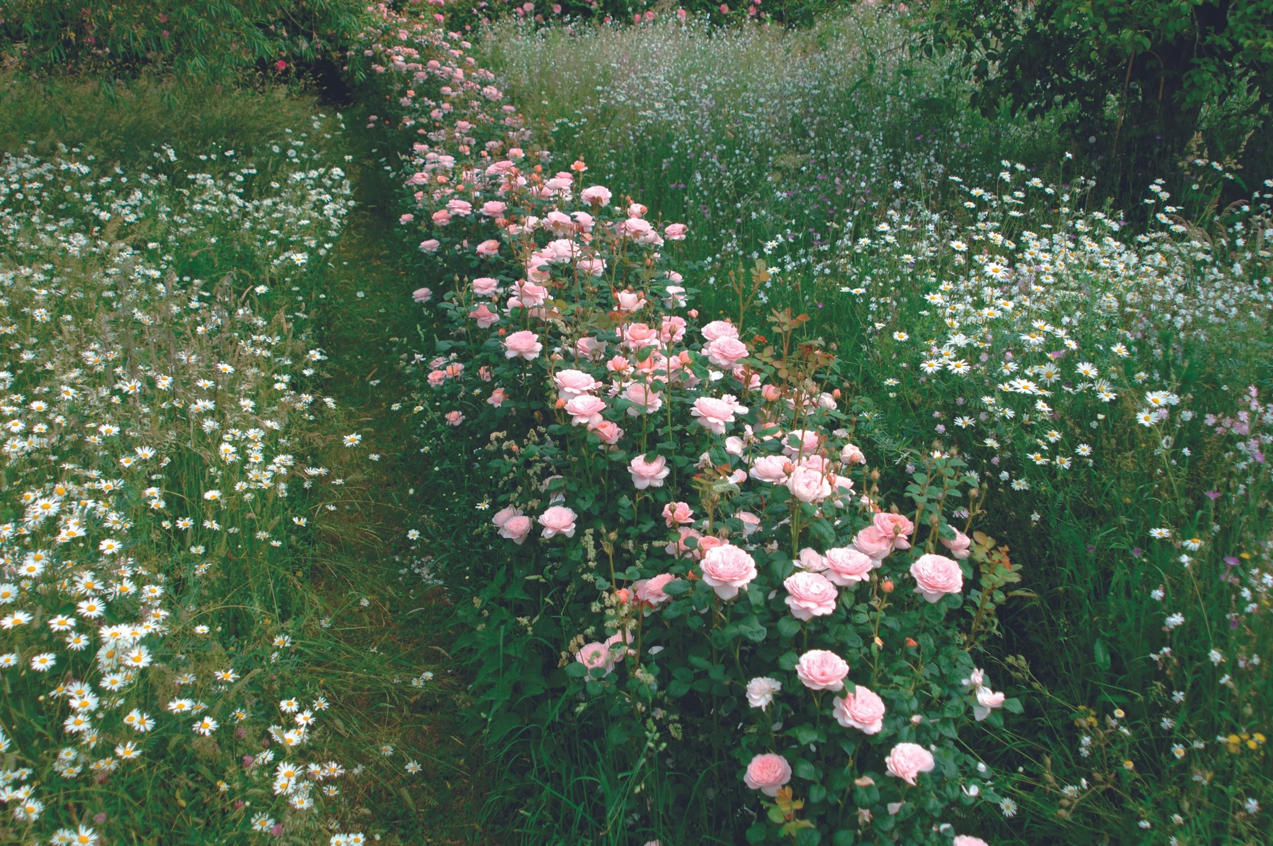 Queen of Sweden 1.JPG