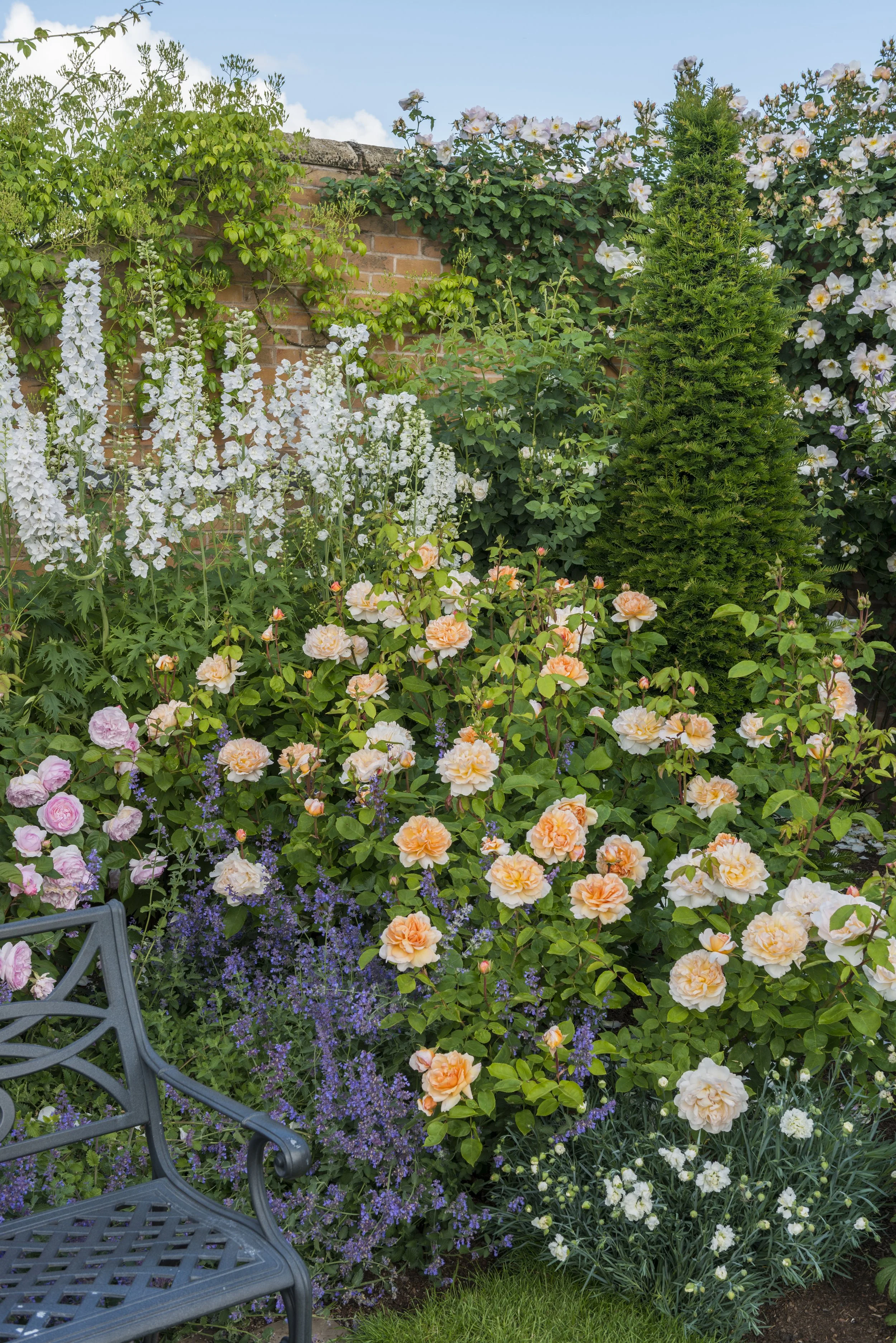 The Lady Gardener 1 - small.jpg