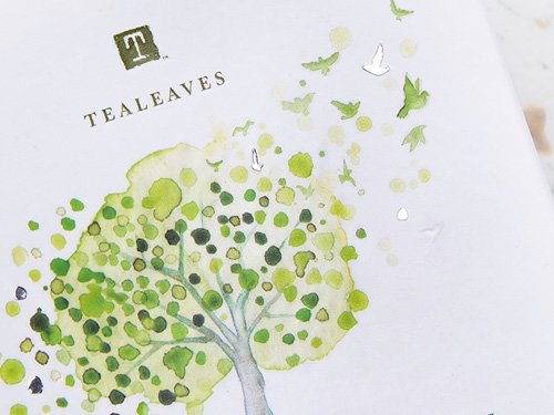 TLC_Packaging-Details02.jpg