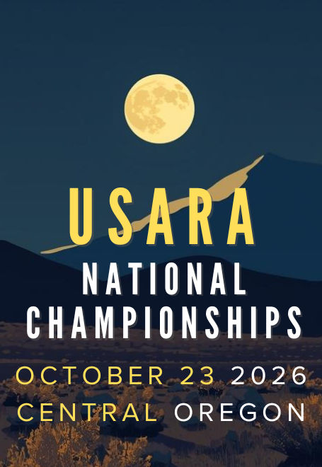 The Transition: AR News and Updates