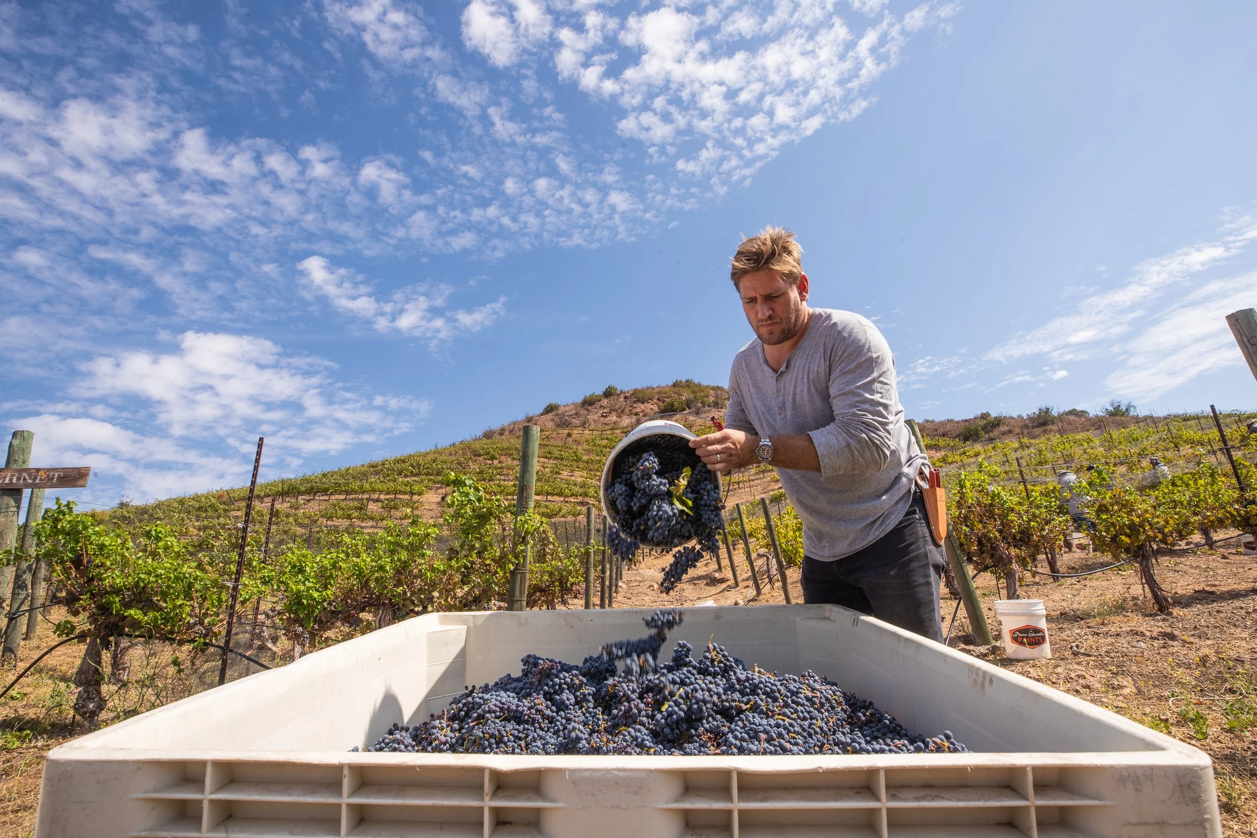 Four Stones Wines by Stone Family Vineyards