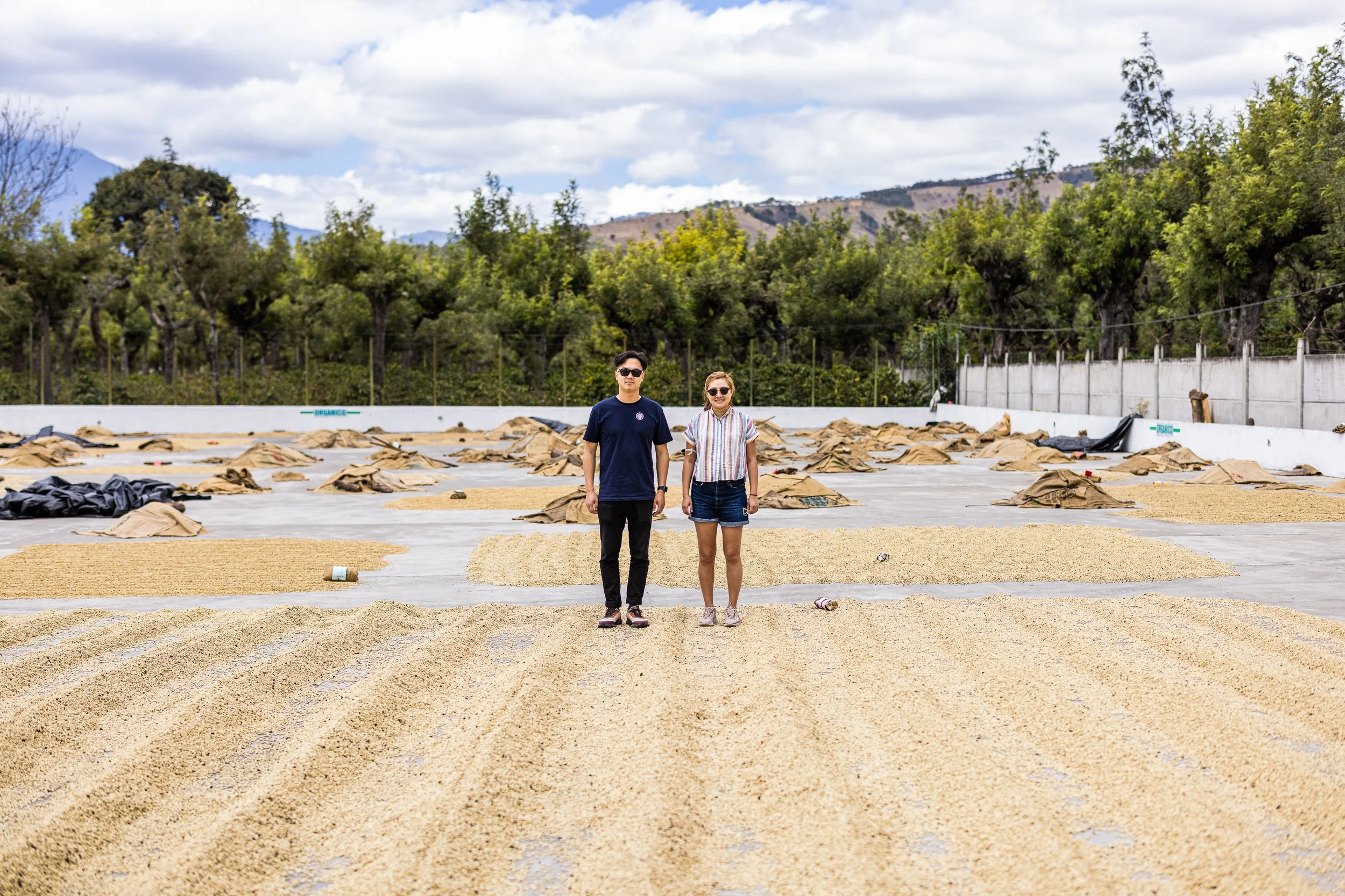 Be Bright Coffee x Los Volcanes Coffee