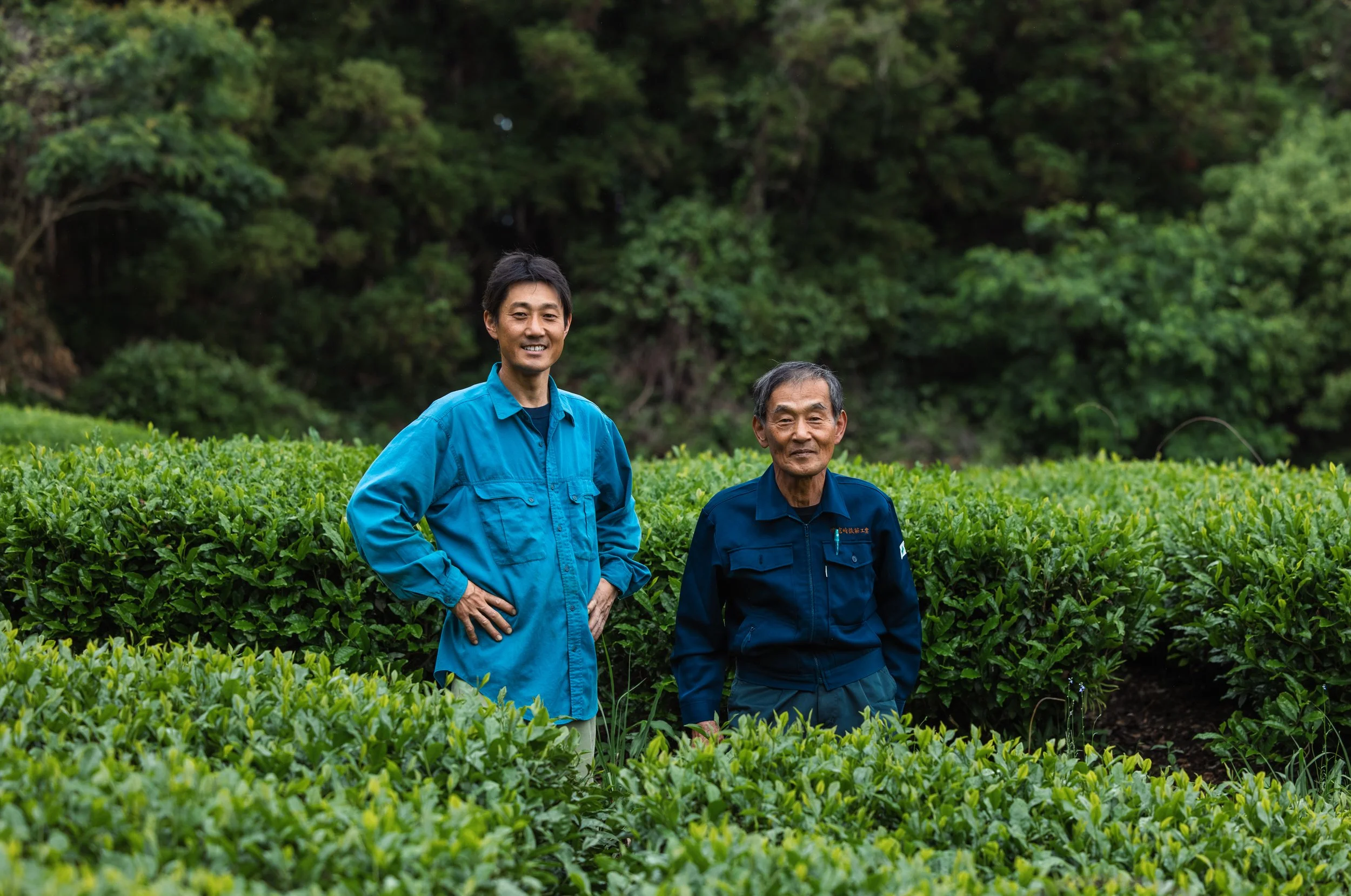 Kitano Tea Farm