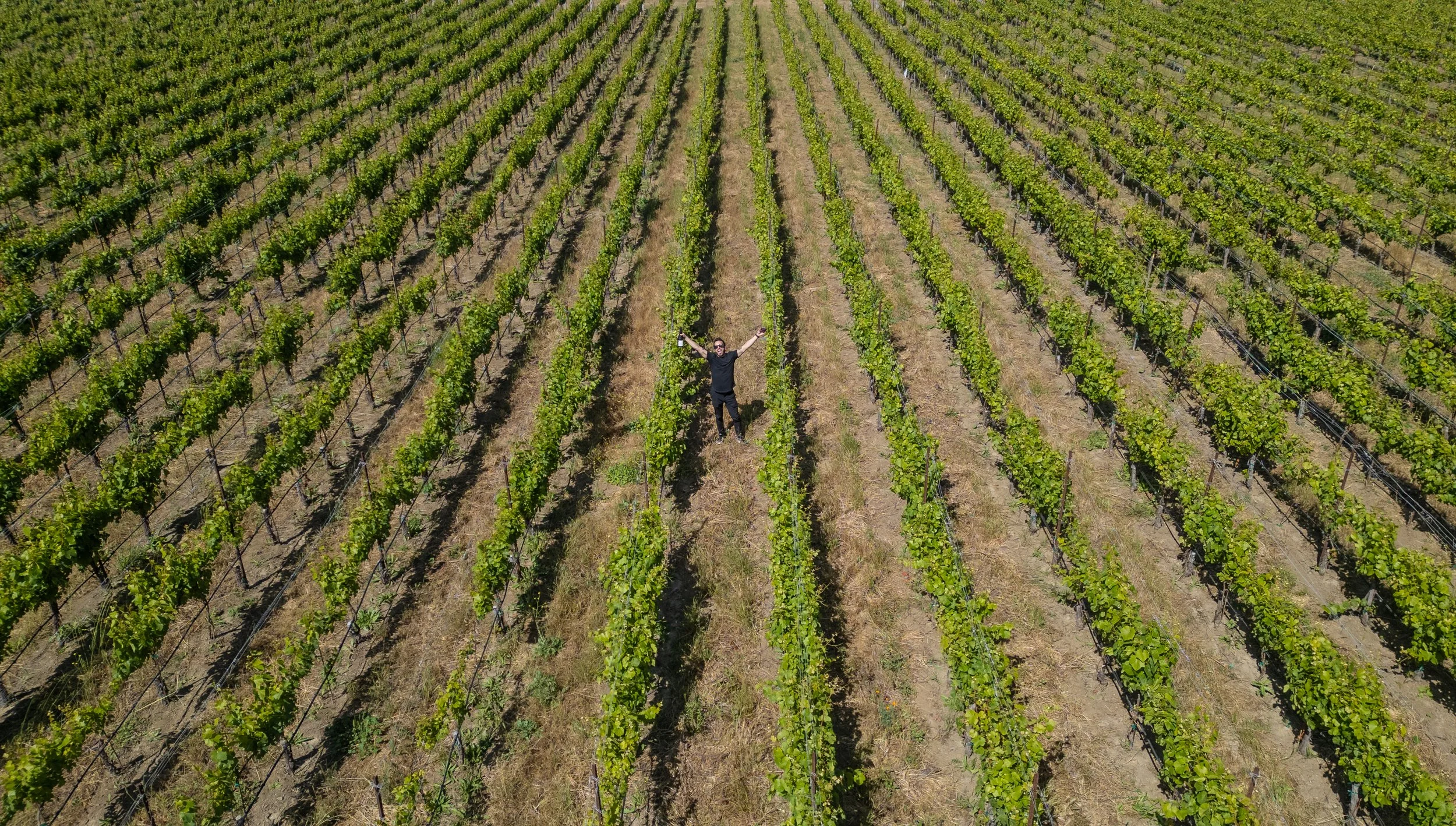 Ritz-Carlton Bacara X Chef Danny Grant X Marisella