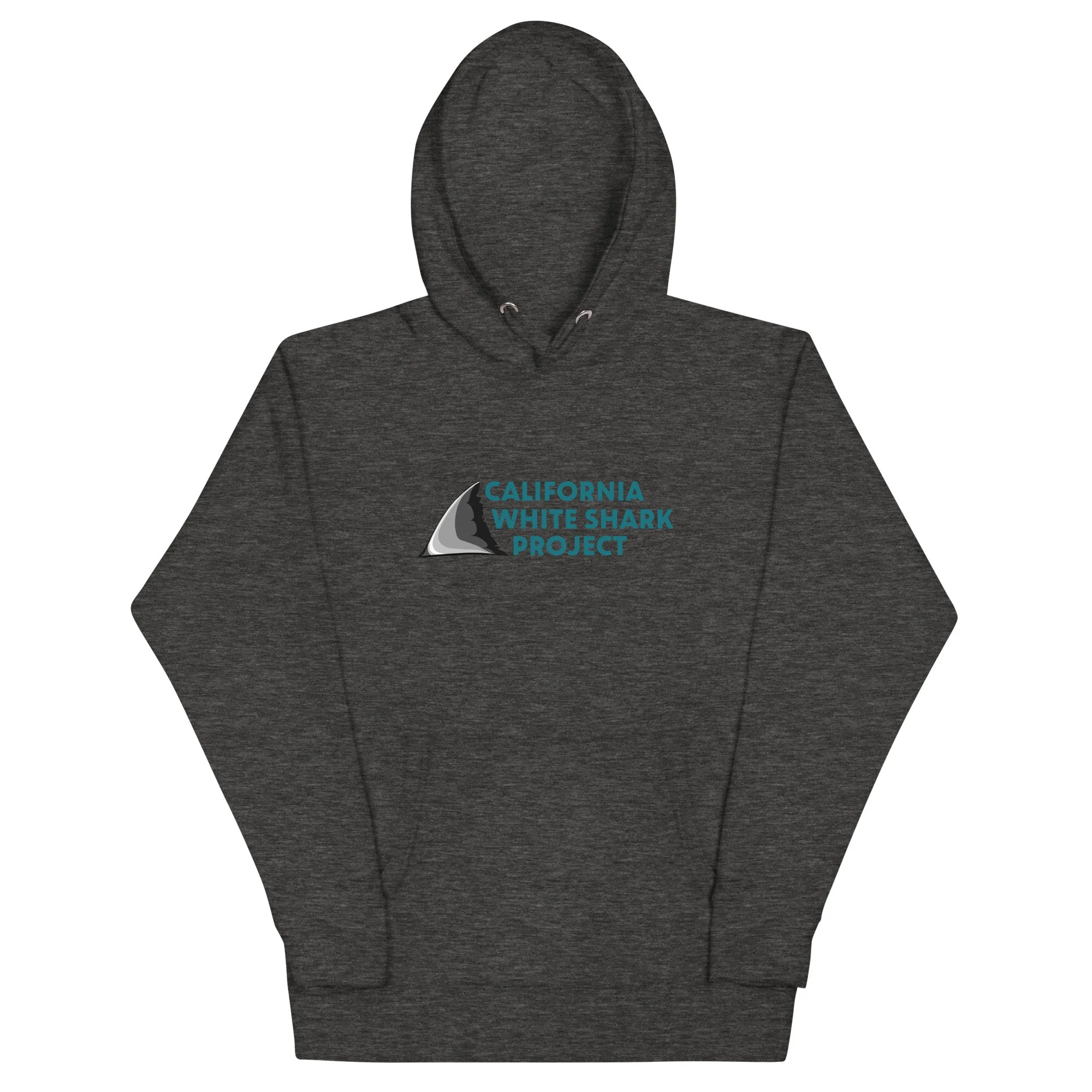 unisex-premium-hoodie-charcoal-heather-front-65fa56ce29a27.jpg