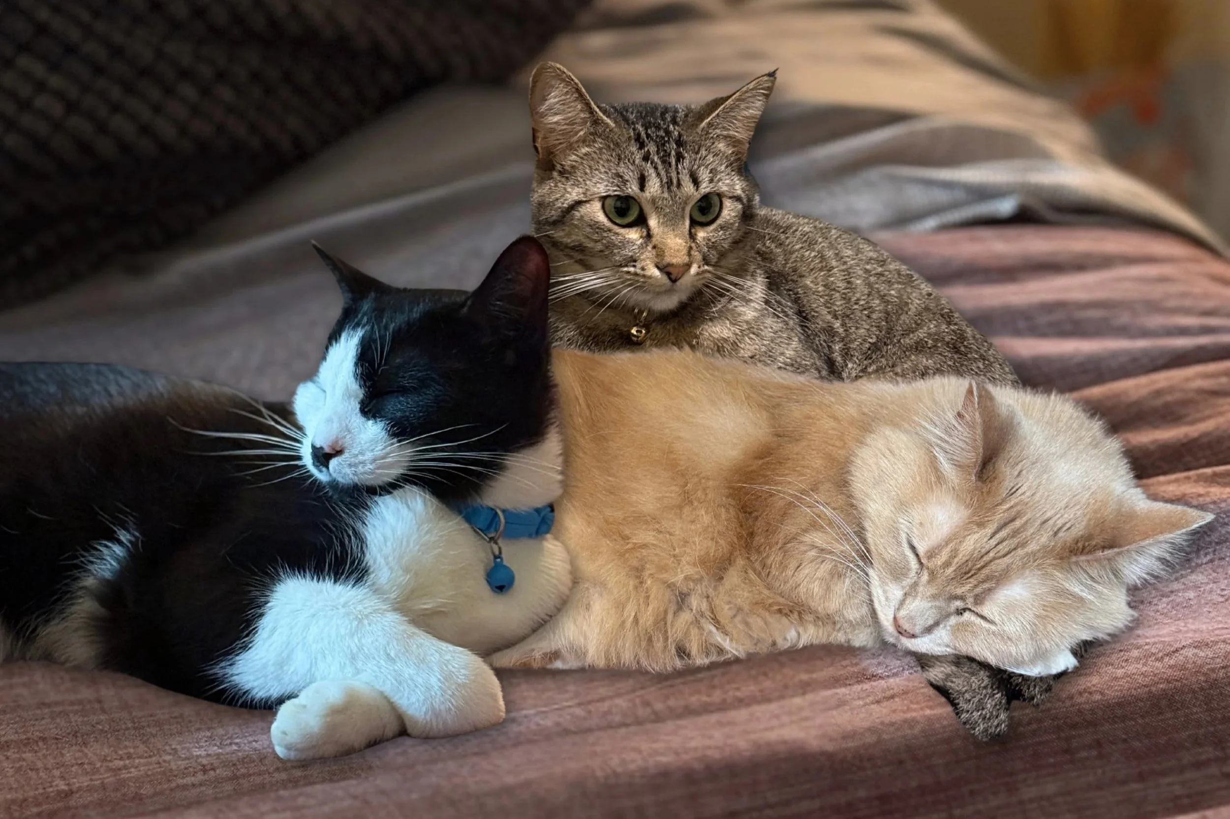 Drew, Marketing &amp; Growth Lead and Identity Coach