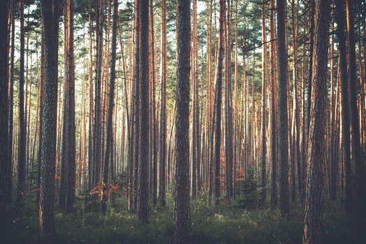 How Diverse Was Early Christianity? Clearing Up a Few Misconceptions