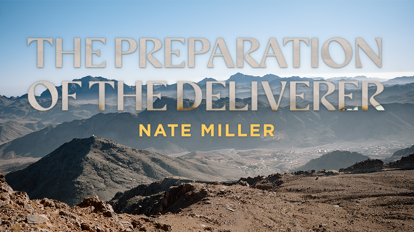 The Preparation of the Deliverer