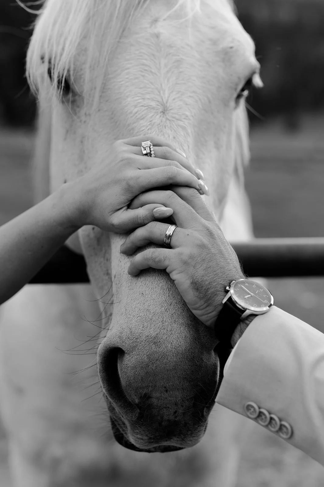 DSC_0200-2-2_websize.jpg