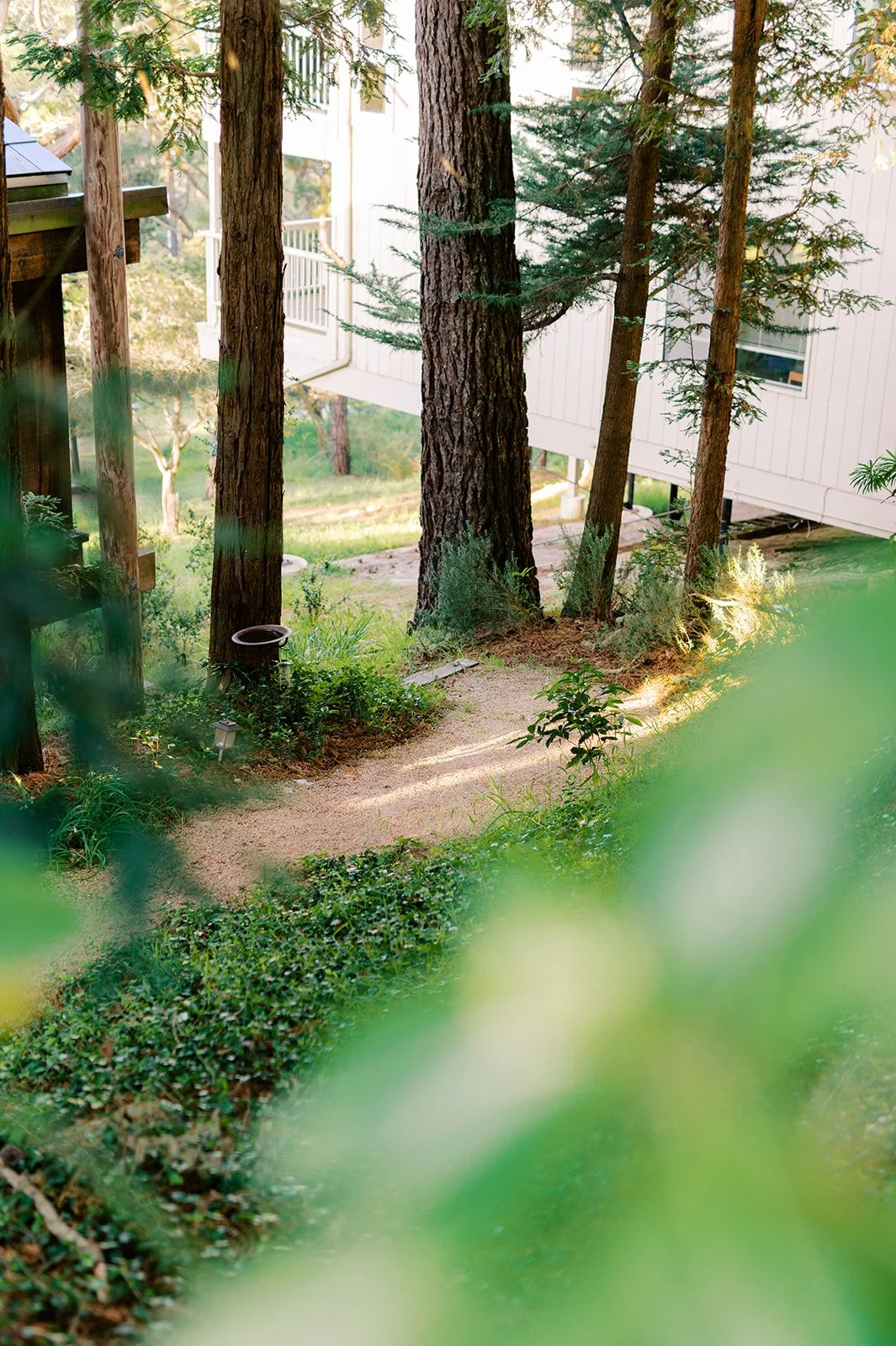 DSC_4570-2_websize (1).jpg