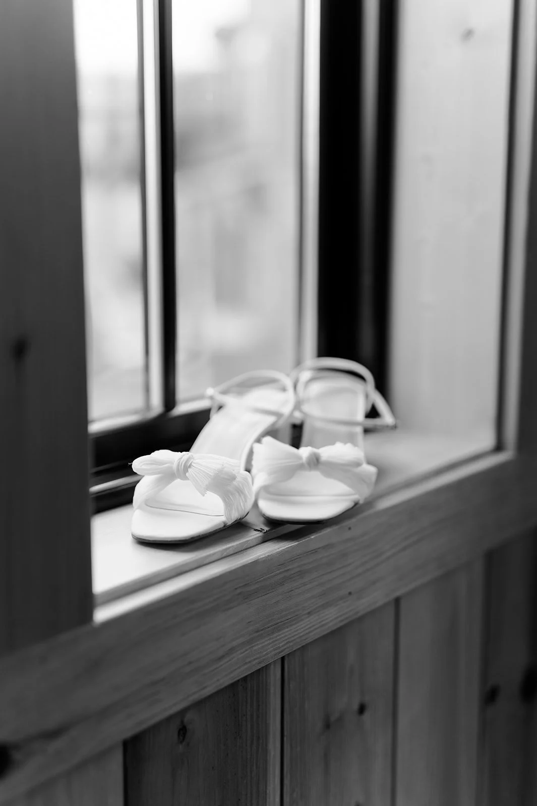 DSC_3669-2.jpg