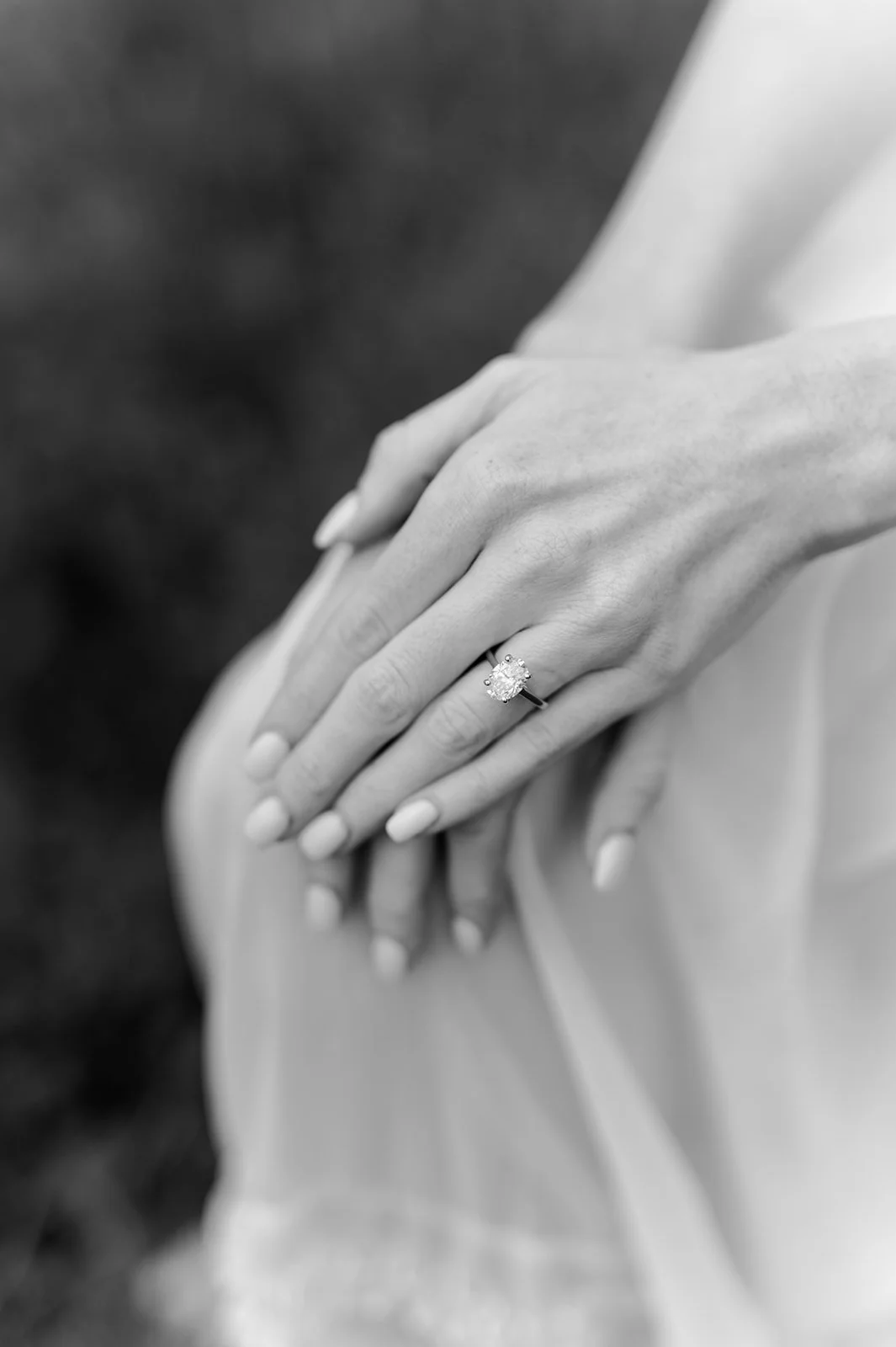 DSC_3774-2.jpg