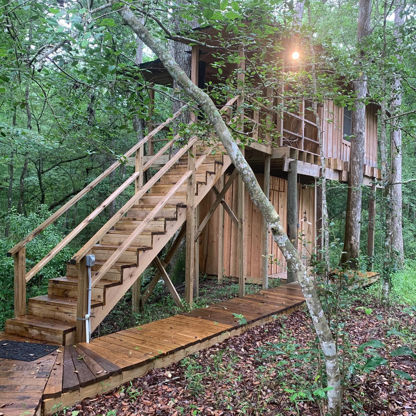 One of two treehouses on the property! We call this the New Treehouse. There are four beds, a bathroom and an enclosed shower. Short walk to The Lodge. 🦉
