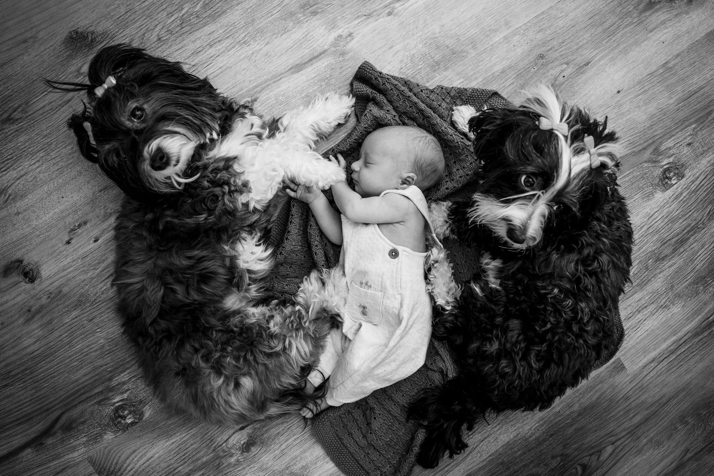 260205 Nyfødtfoto Matheo Fotograf Marte Bjørgum-38.jpg