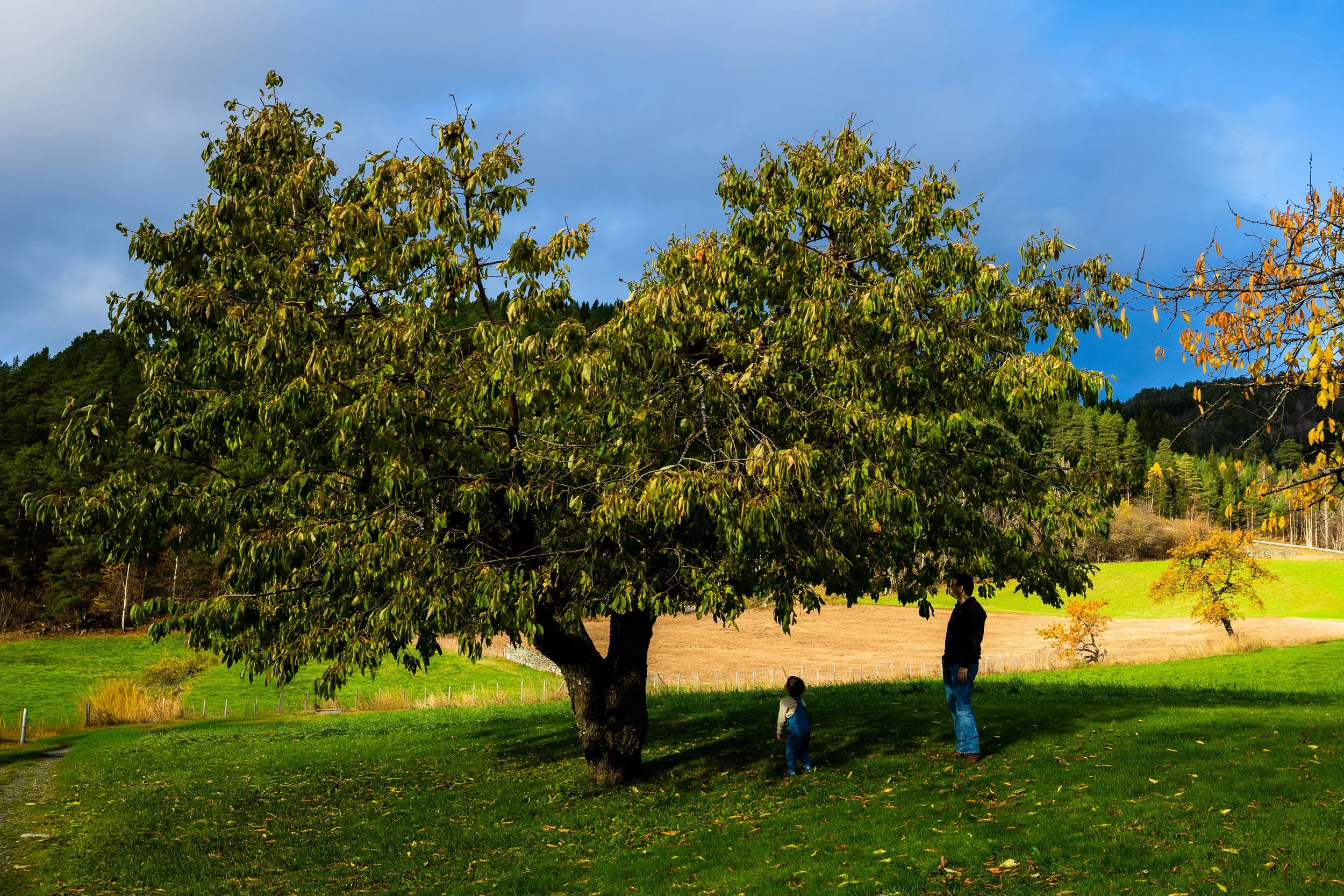 Thea - ekstrabilder-14.jpg