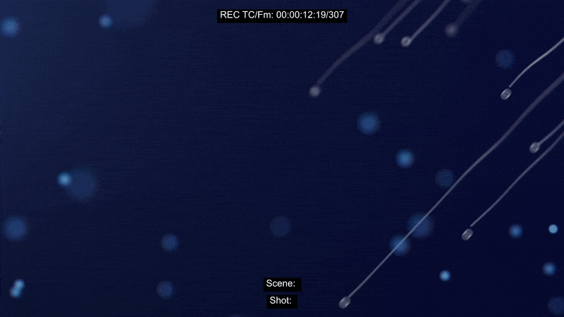 V1_0001_01_AMD2Sockets_HQ_v06_20.gif