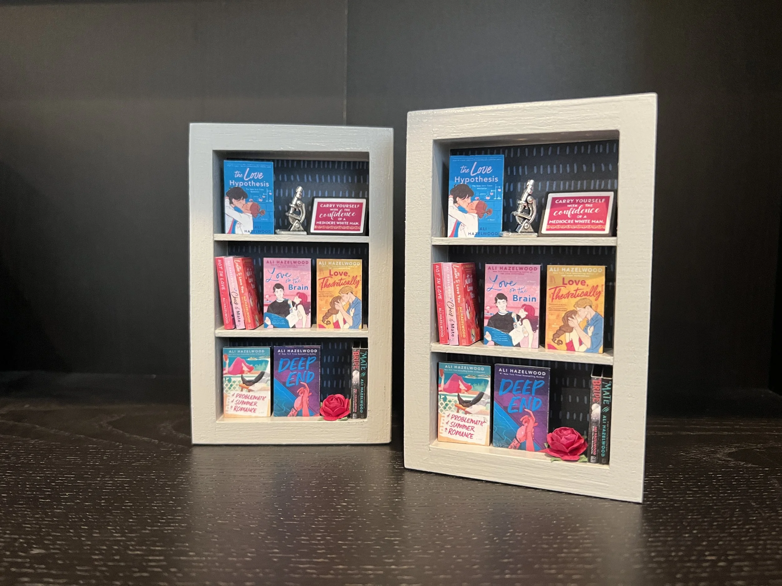 Ali Hazelwood Tiny Shelf