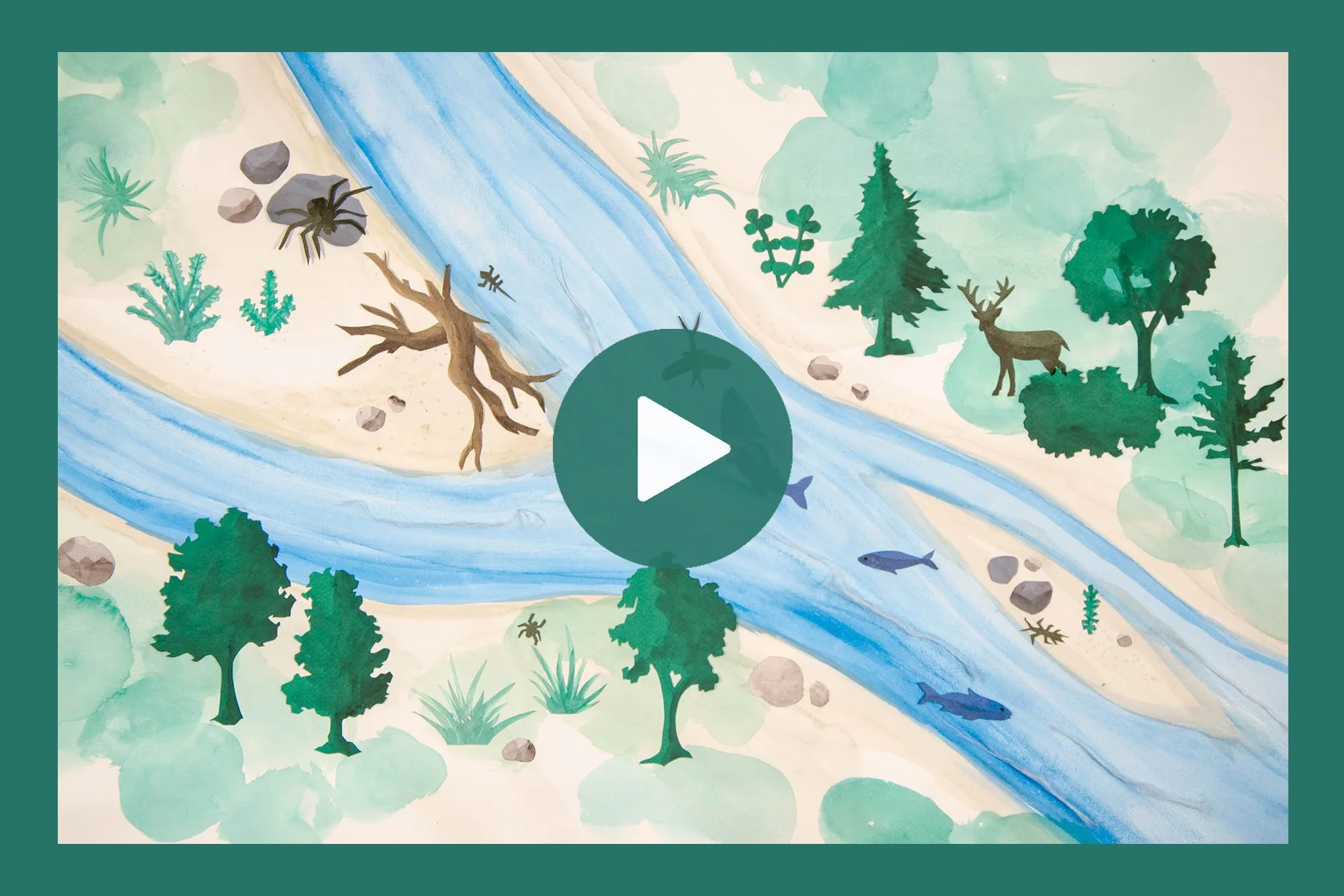 Le cours d’eau comme habitat