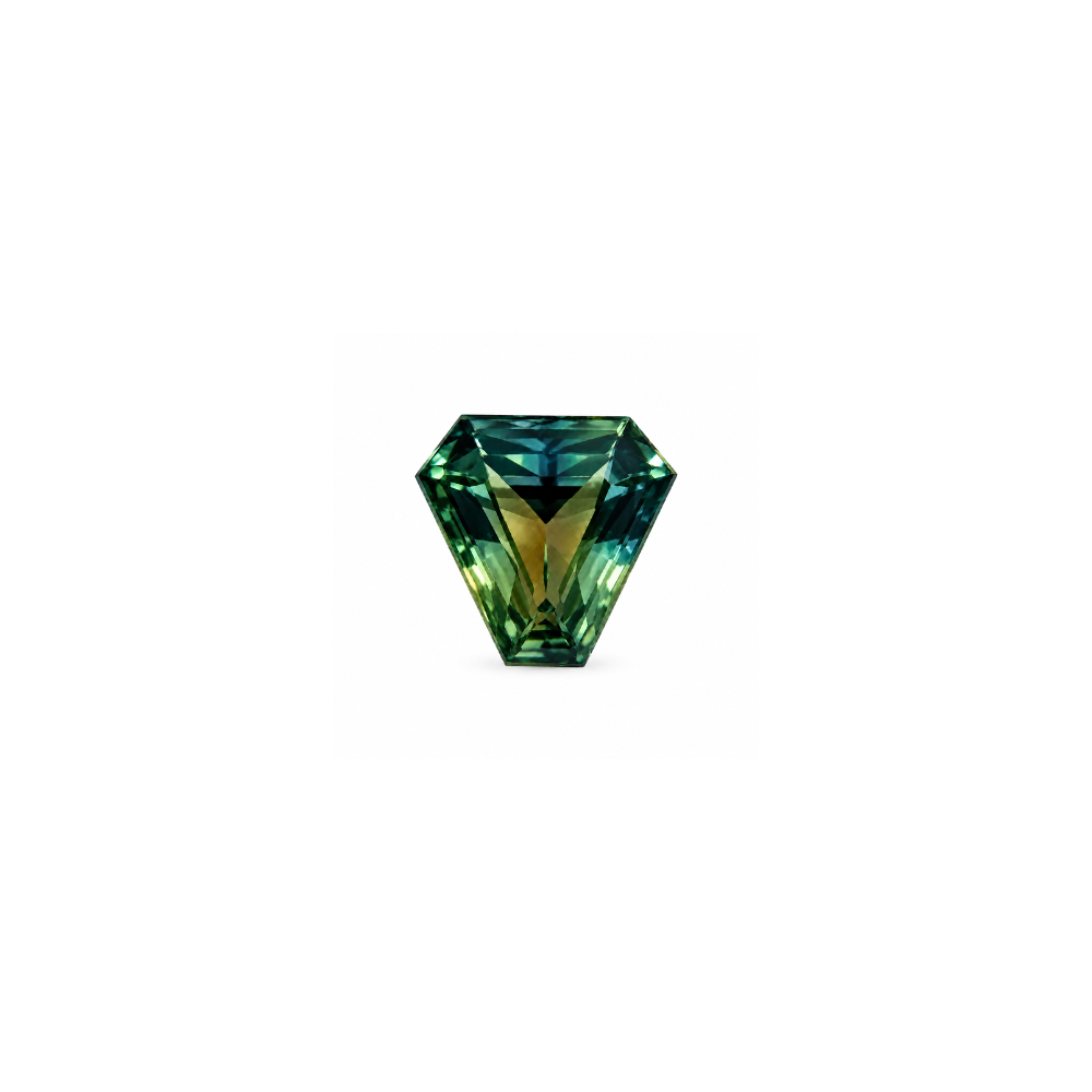 16573 (1).png