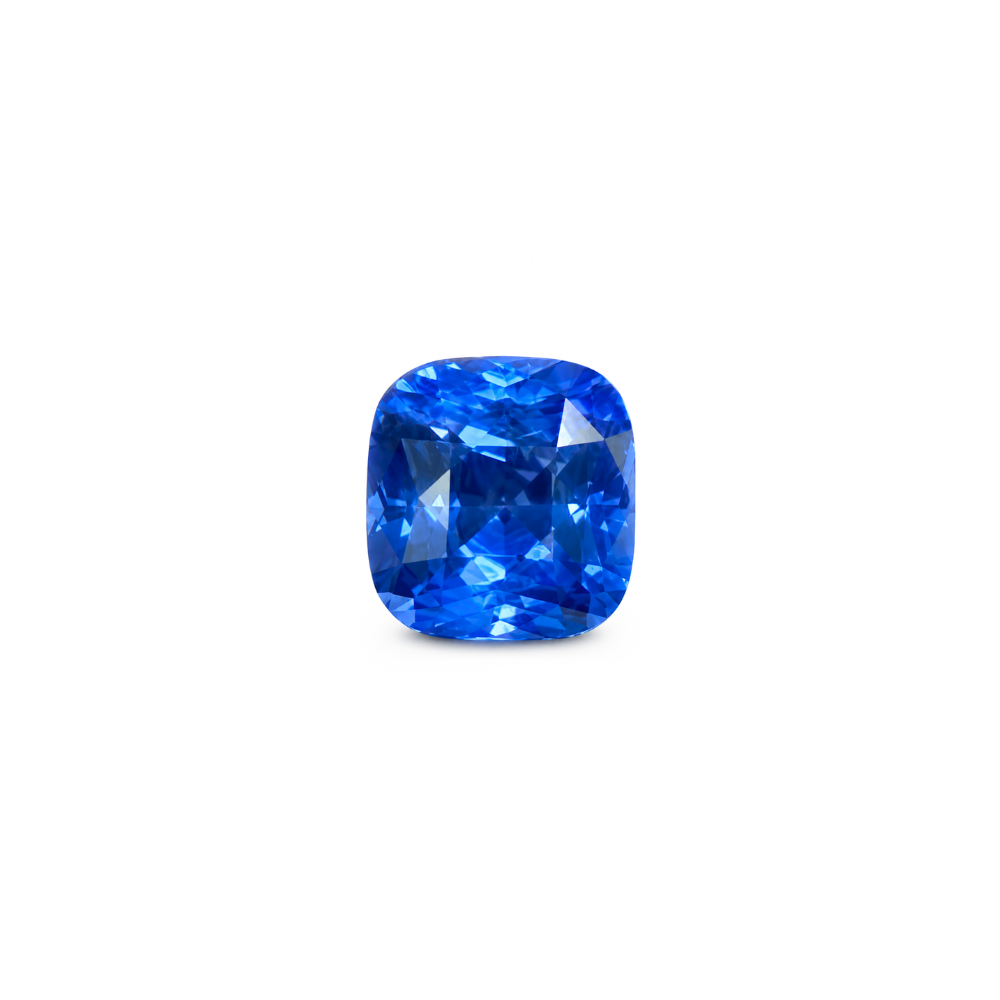15695.png