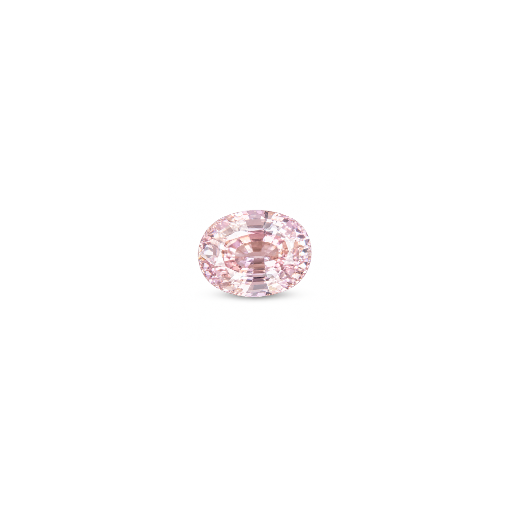 14099.png