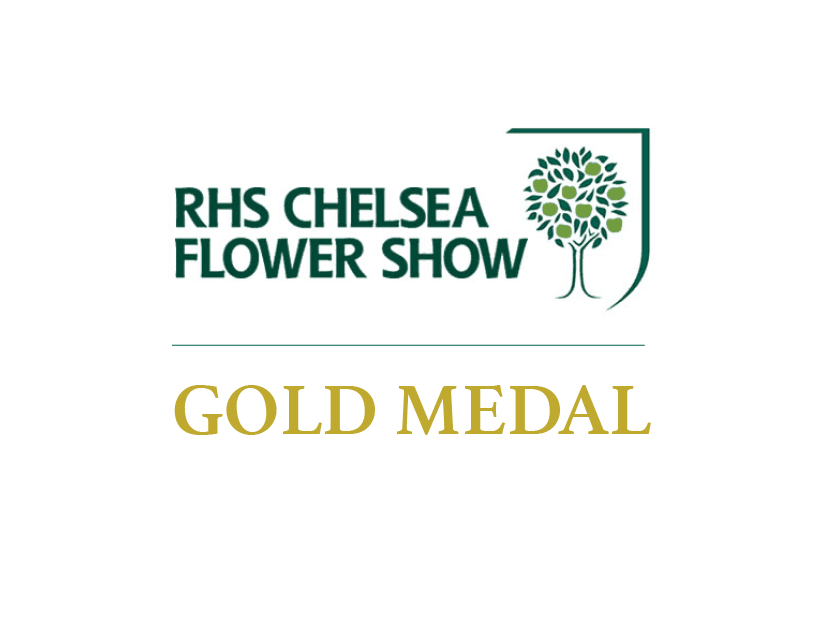 Gold medal award certificate for RHS Chelsea Flower Show.