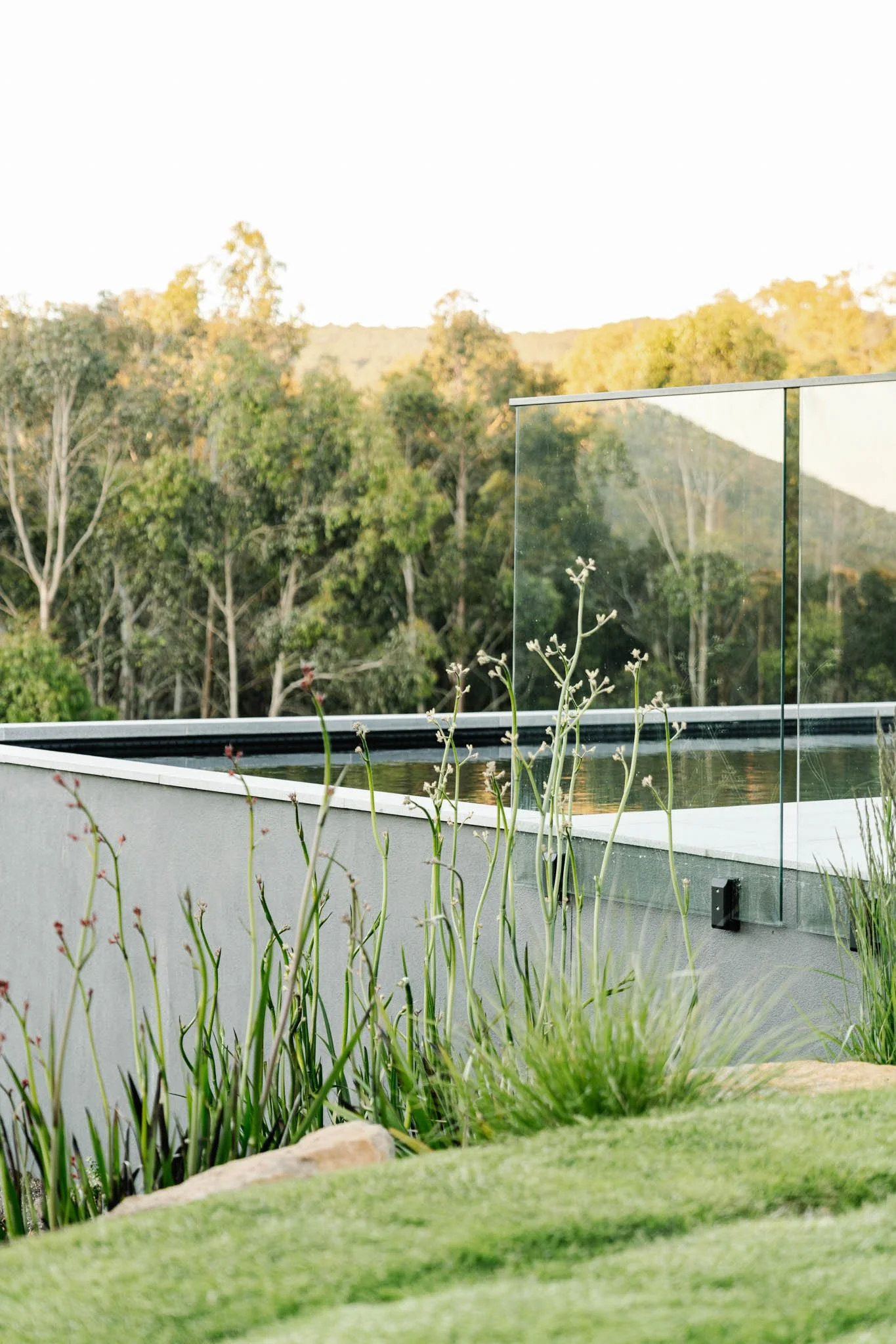 Grass Tree House_TLC Pools_low res-008.jpg