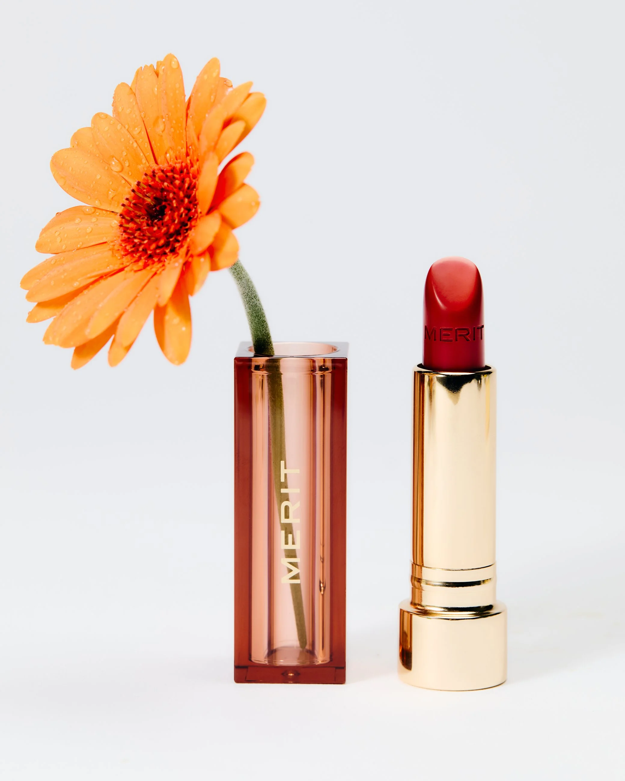 Still_Life_18.12.250715 2 1.jpg