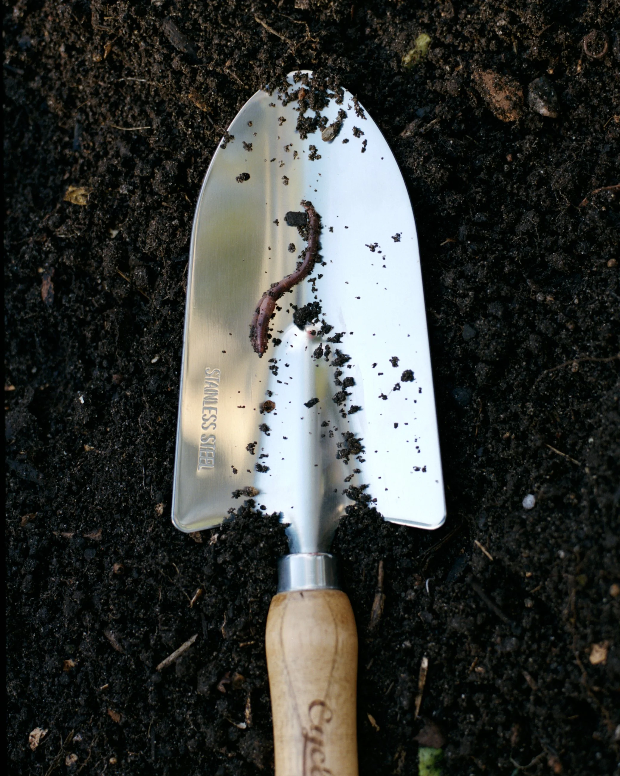 Garden  21.jpg