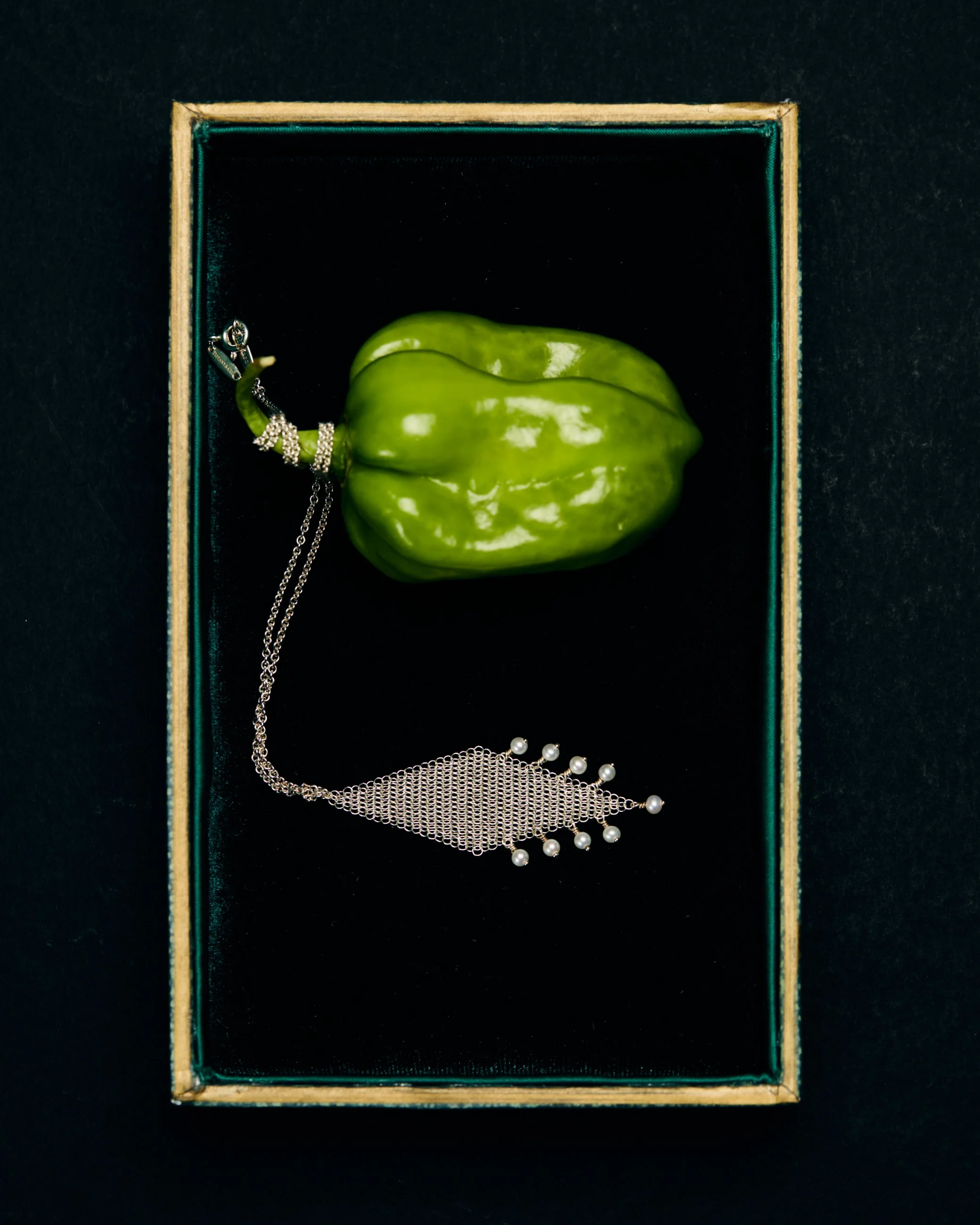 Still_Life_18.12.250493.jpg