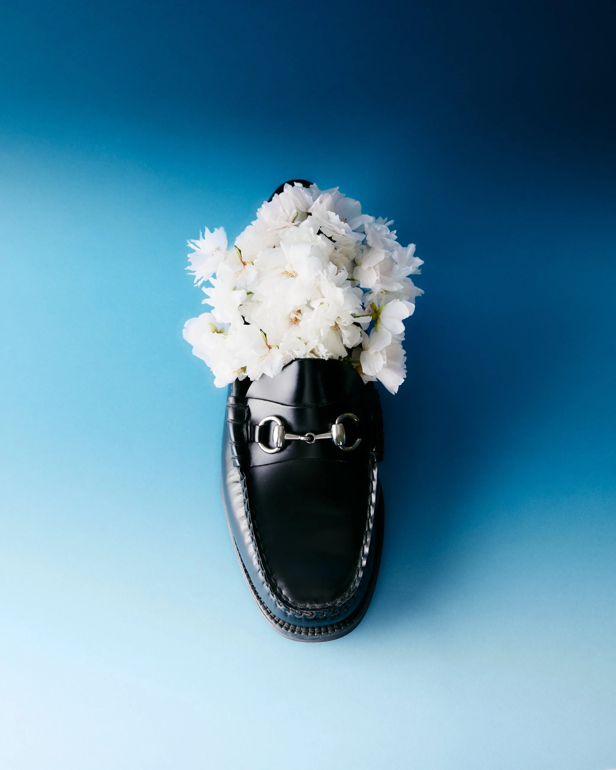 Spring_Flowers_248074 1.jpg