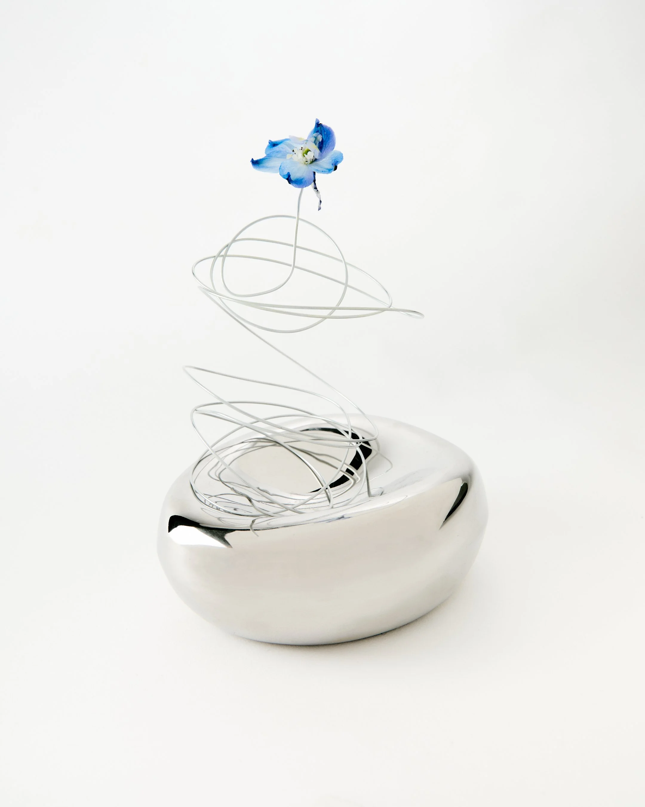 Still_Life_Creative_29.11.2412520 1 1.jpg