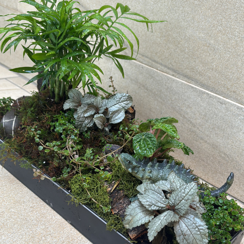 Jurassic Terrain Workshop