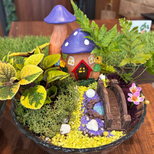 Drop-In Fairy Garden Workshop