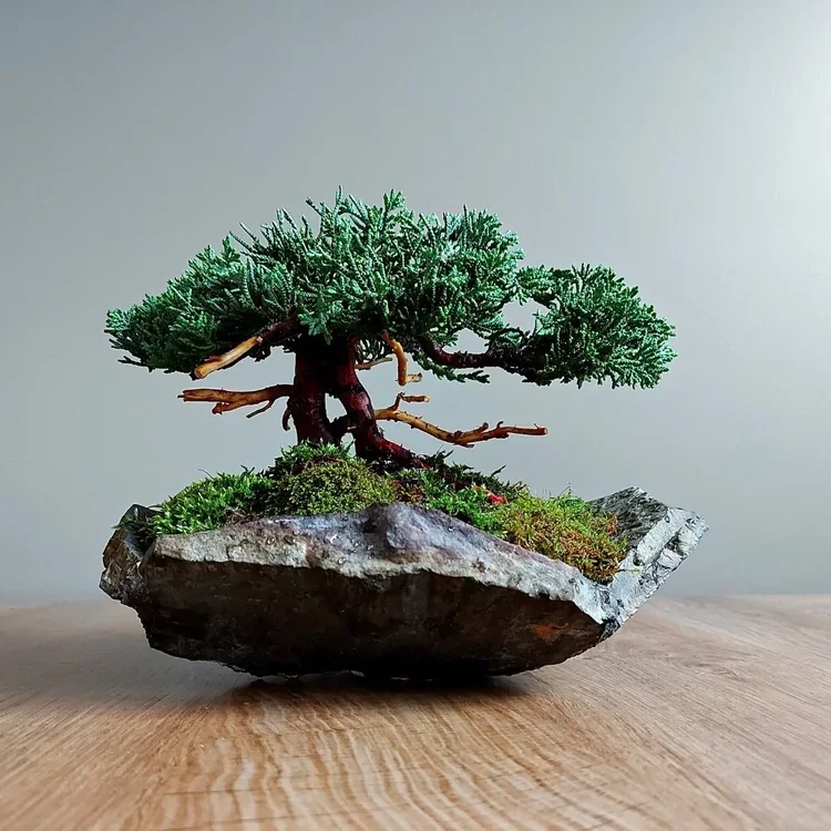 The Art of Bonsai Workshop | Love That Plant