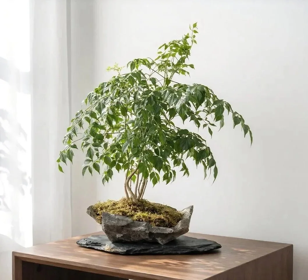 The Art of Bonsai Workshop | Love That Plant