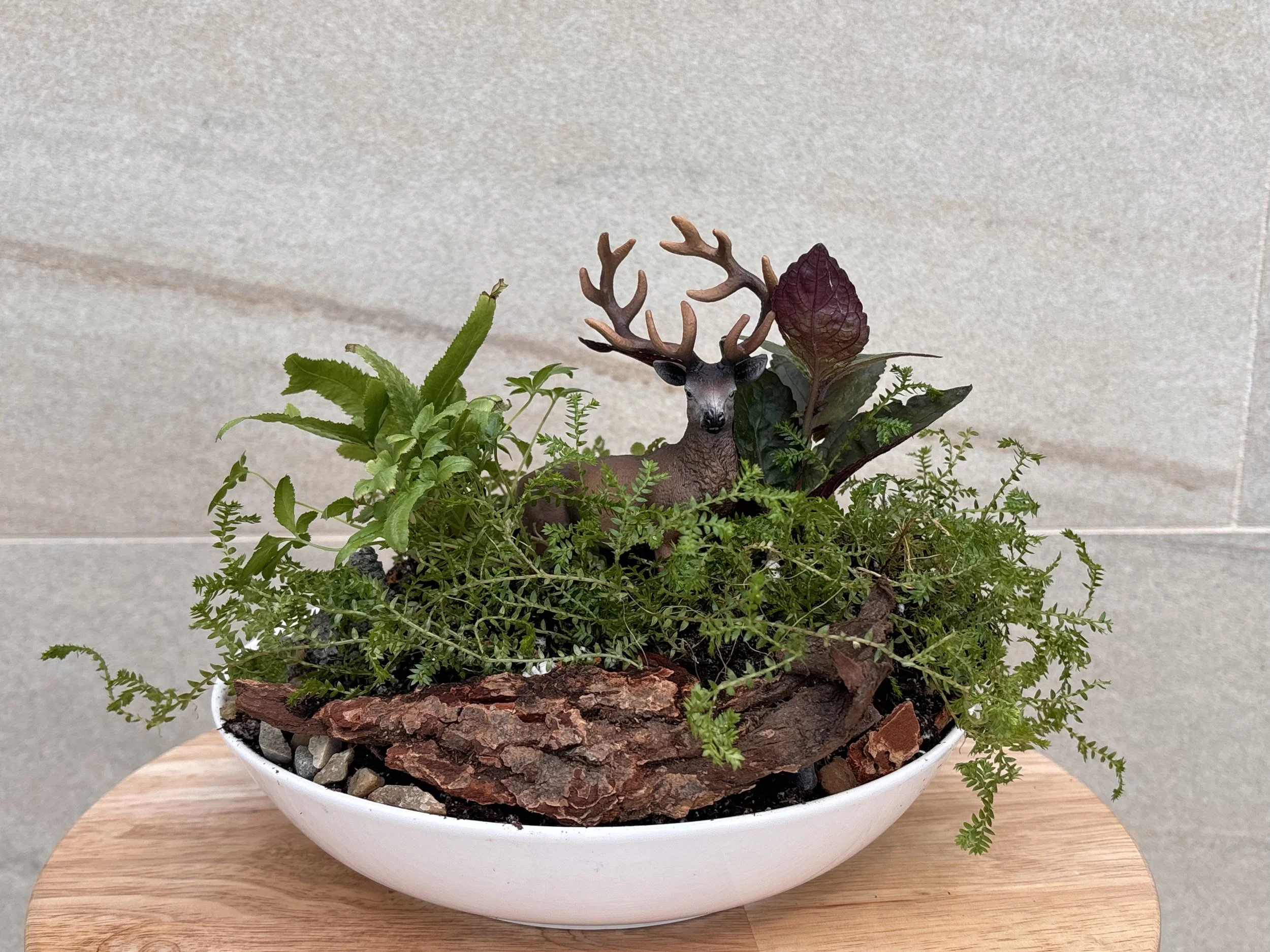 Woodland Garden @ Naturecore Expo