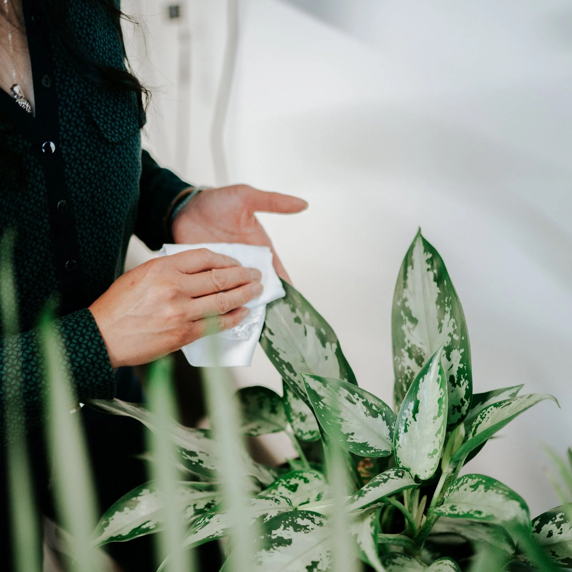 Installation Maintenance