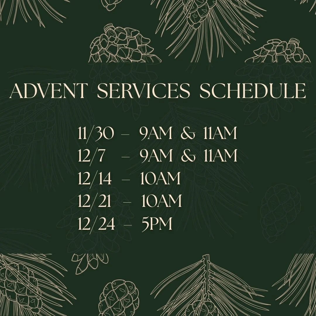 ADVENT SERVICES SCHEDULE