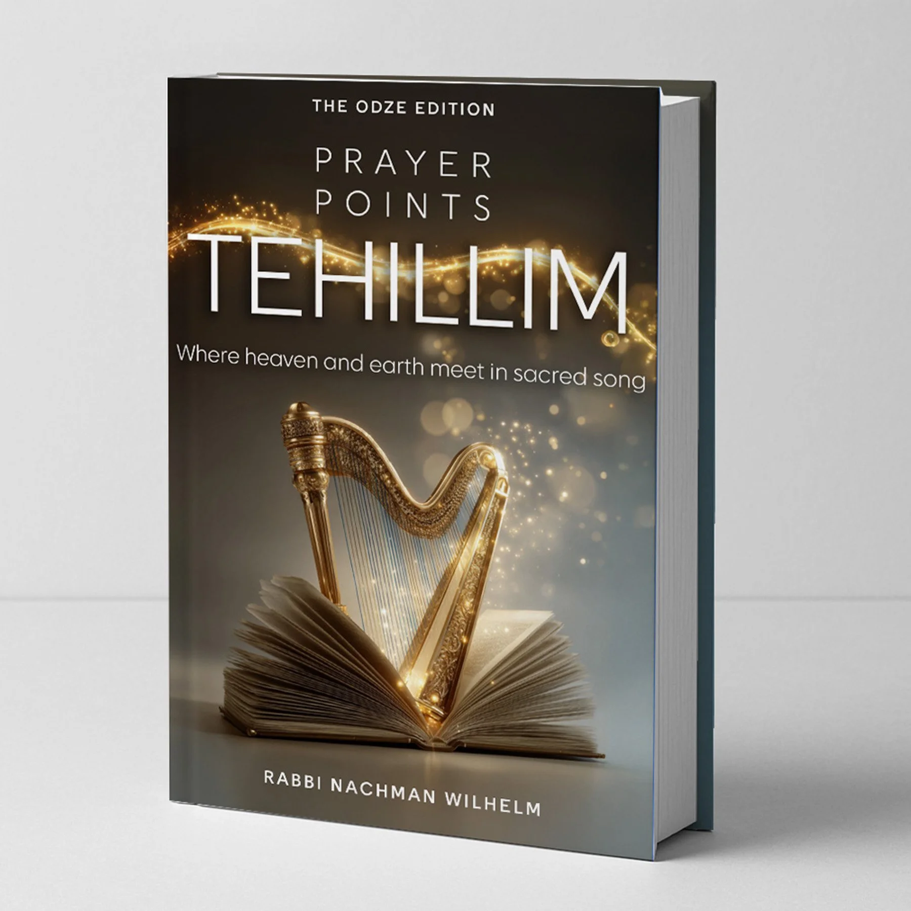 Tehillim Prayer Points.jpg