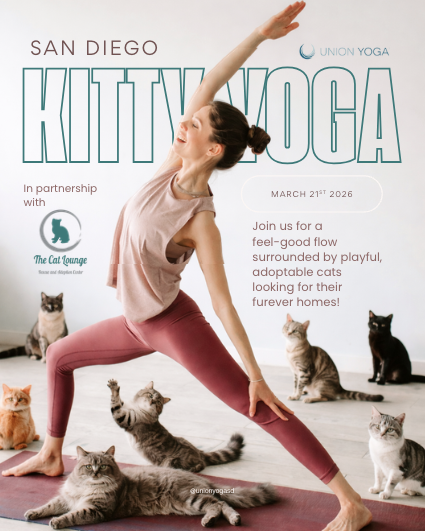 Kitty Yoga at The Cat Lounge