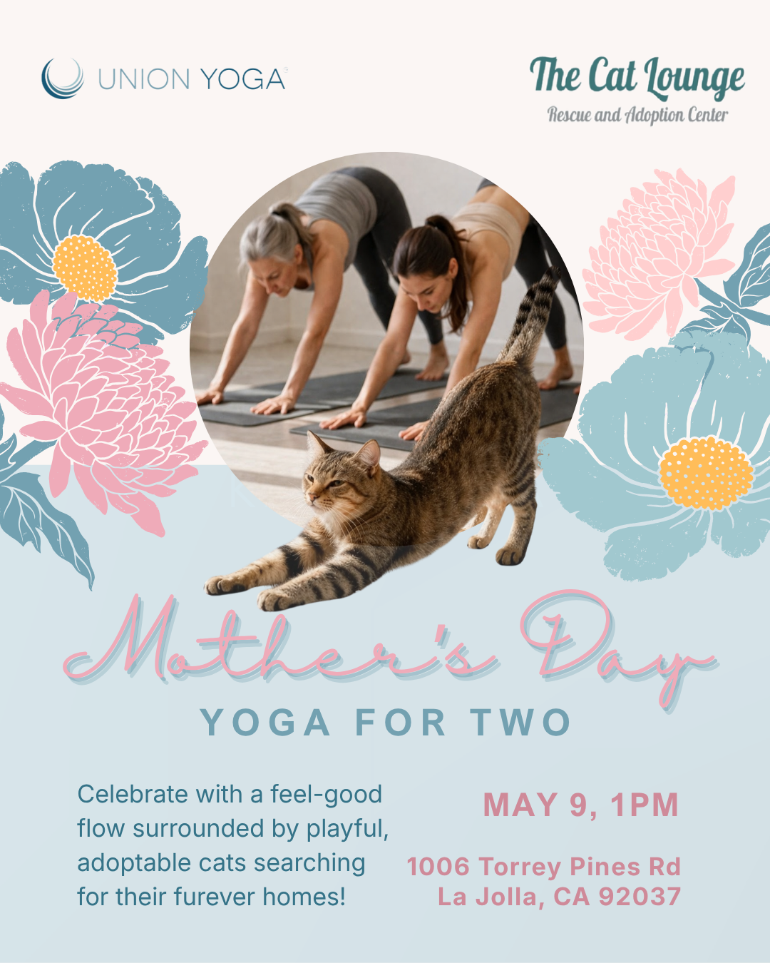Mother's Day Kitty Yoga