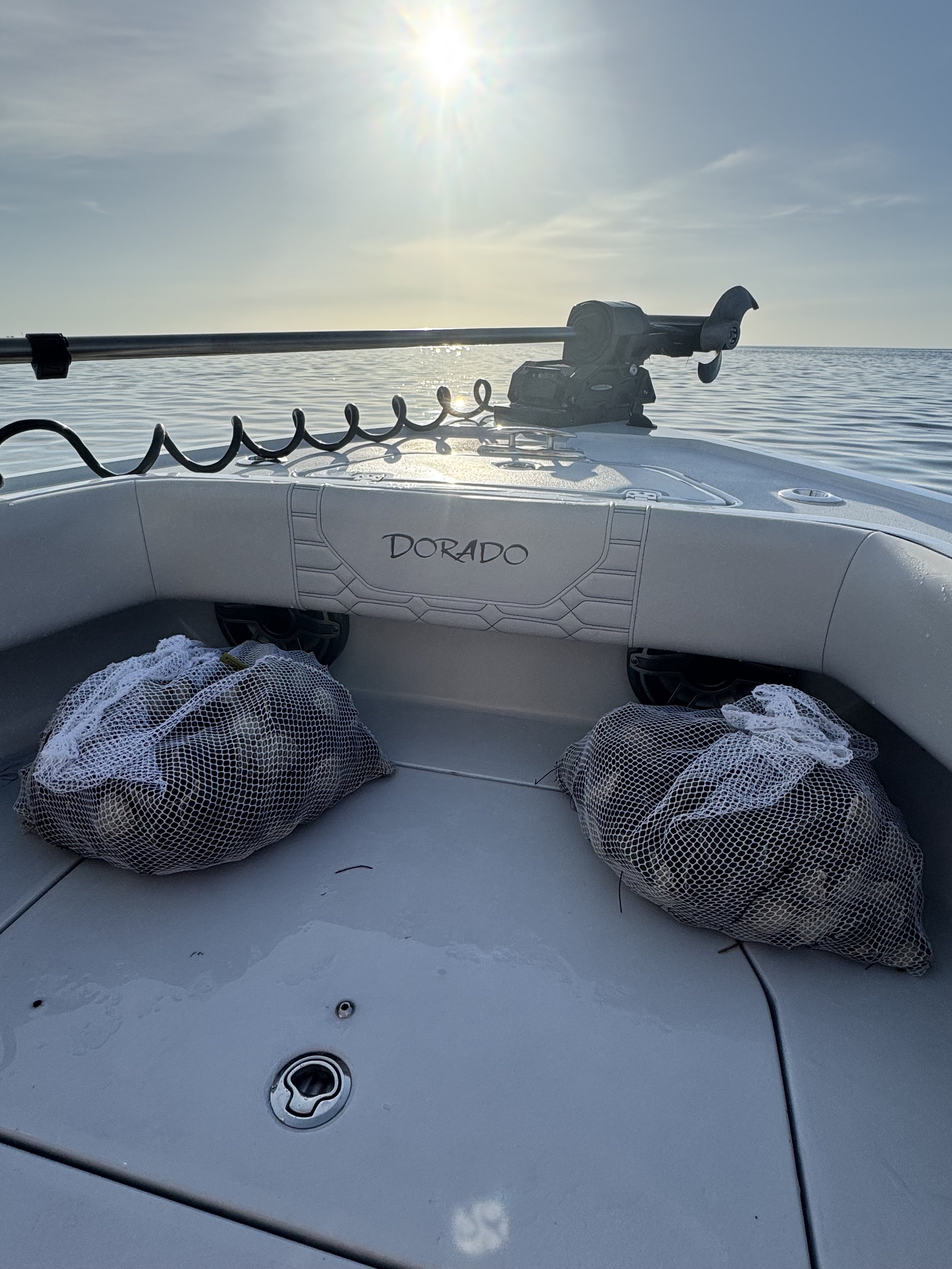 pasco county scalloping charter.jpg