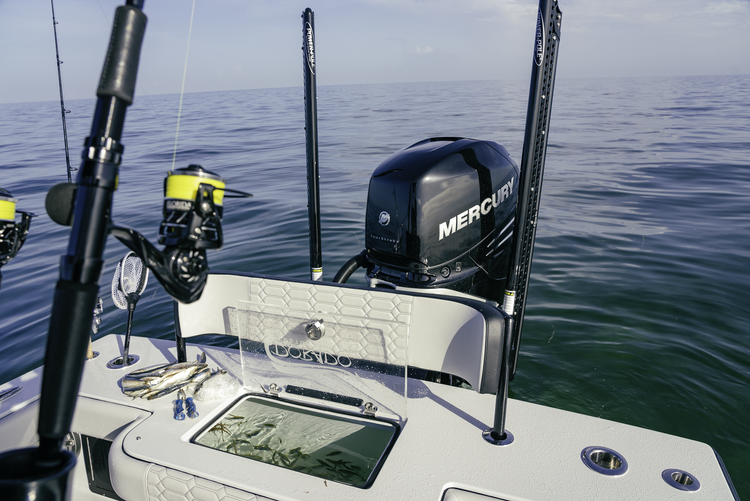 Fishing Charters New Port Richey | Sport Fishing Hudson