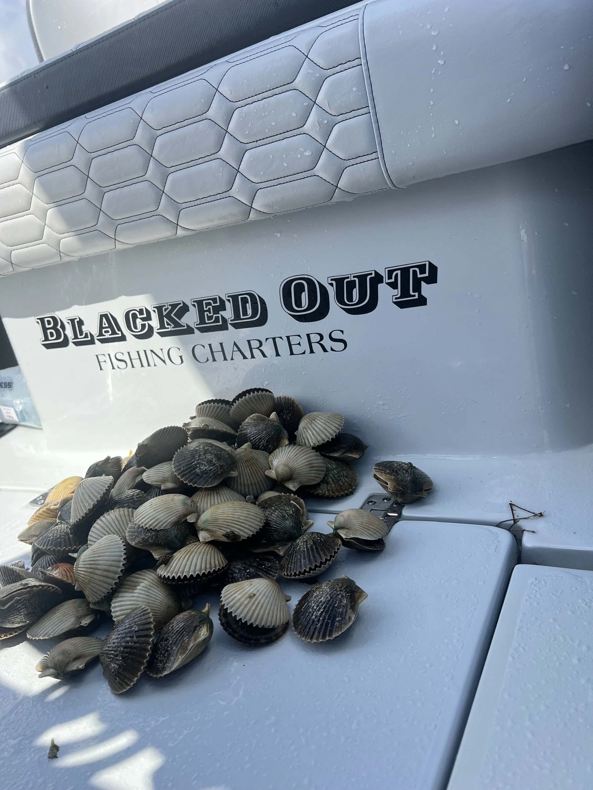 gulfcoast scalloping inshore.jpg