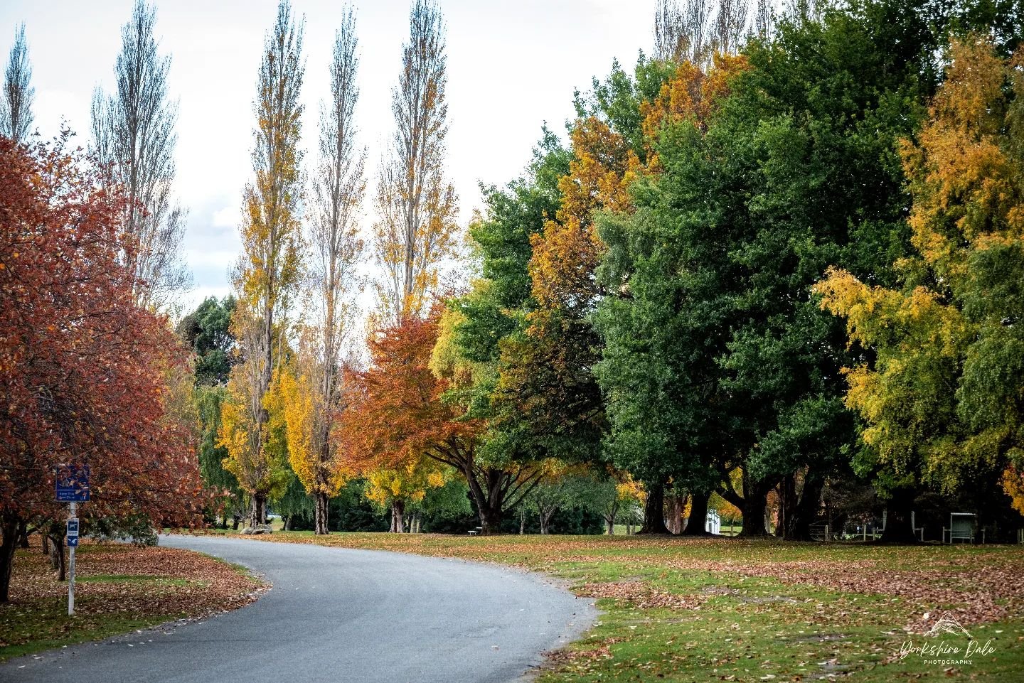 Autumn scene in Te Anau
Been blown away in the difference from our holiday down on the South Island to coming back to Auckland. The weather, feel and mood is like we visited a different country!
It's still red hot up here in the daytime with a nip