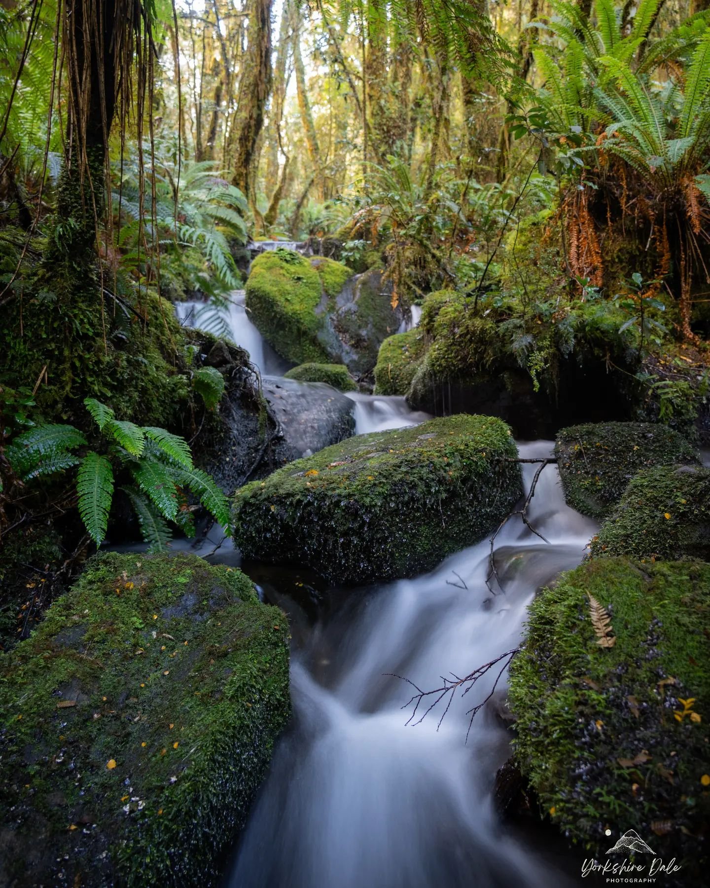📍Cleddau River (The Chasm)
⛰️'Green Stones'
Unfortunately the Chasm was closed off to public but I managed to shoot this little offspring creek from the Celddau river on the same trail. This is a popular walk on the road to Milford Sound just off t