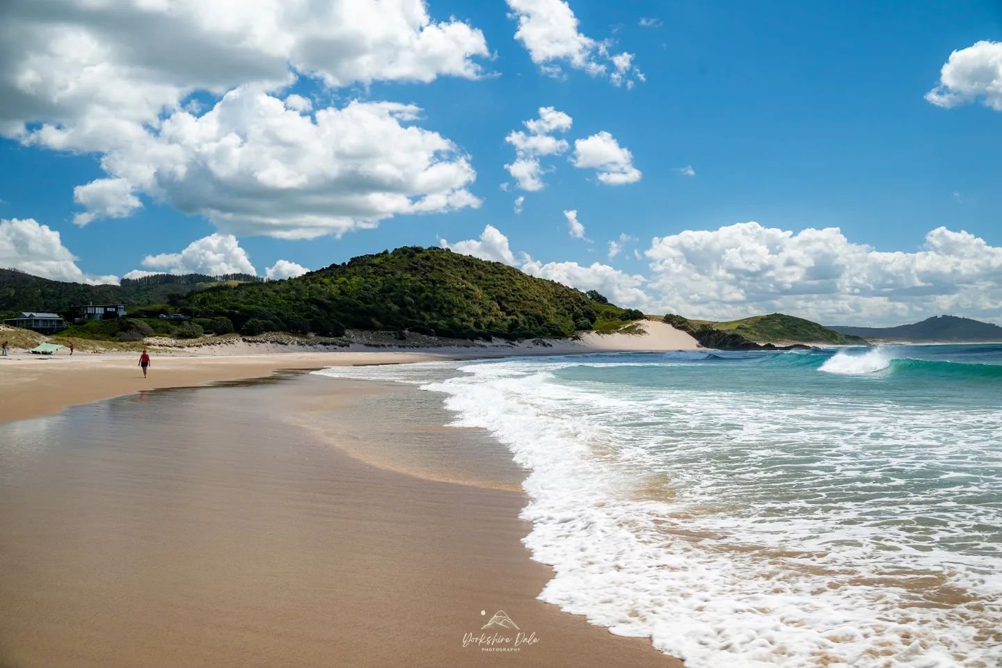 Another day in paradise 😌🏖
#newzealandcoast
#newzealandlife
#newzealand
#nztourism
#nzgeo
#Coast
#beach
#nikonnz
